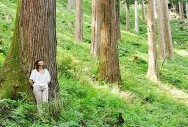 歴史と伝統を刻んだ吉野杉