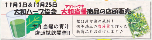 【11/1(日)・25(水)】大和当帰（ヤマトトウキ）商品の店頭販売
