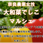 【8/28・9/25・10/23】旬の農作物が勢揃い！「大和菜でしこマルシェ」